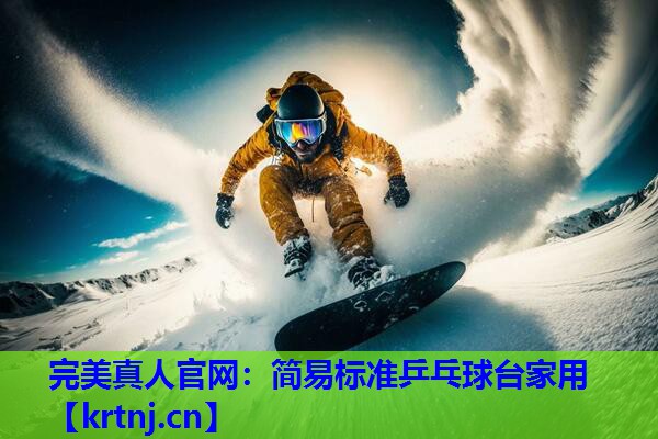 简易标准乒乓球台家用 简易标准乒乓球台家用