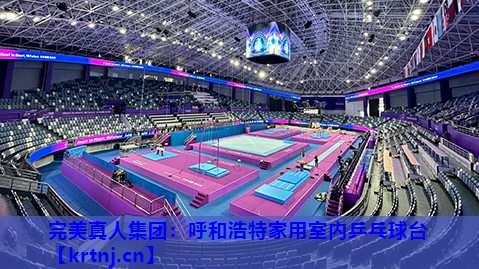 呼和浩特家用室内乒乓球台 呼和浩特家用室内乒乓球台