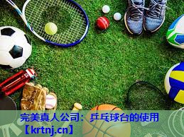 乒乓球台的使用 乒乓球台的使用