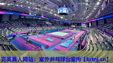 室外乒乓球台室内 室外乒乓球台室内