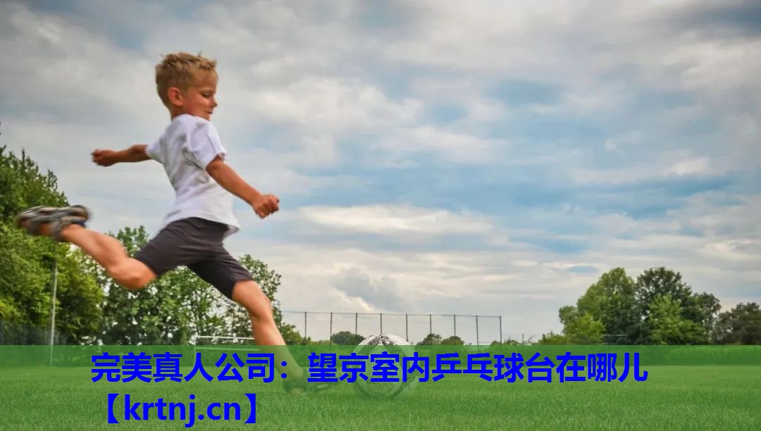 望京室内乒乓球台在哪儿 望京室内乒乓球台在哪儿