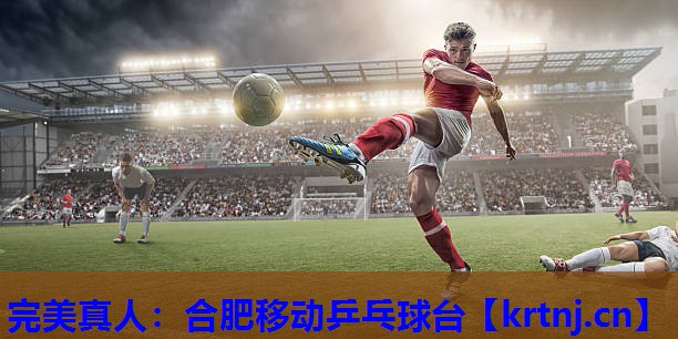 合肥移动乒乓球台 合肥移动乒乓球台