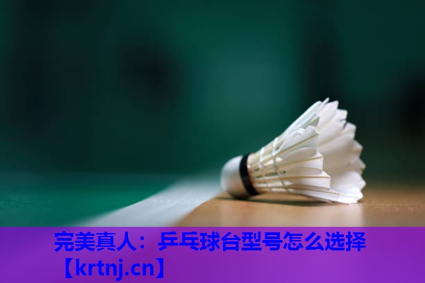 乒乓球台型号怎么选择 乒乓球台型号怎么选择