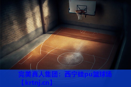 西宁硅pu篮球场 西宁硅pu篮球场