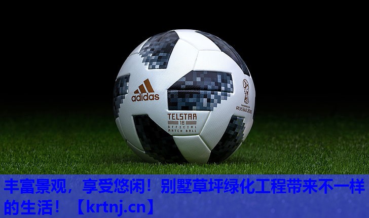 丰富景观,享受悠闲!别墅草坪绿化工程带来不一样的生活! 丰富景观,享受悠闲!别墅草坪绿化工程带来不一样的生活!