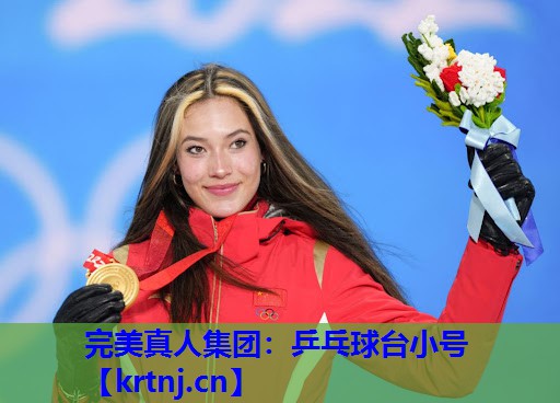 乒乓球台小号 乒乓球台小号