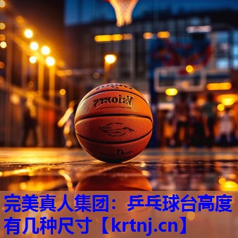 乒乓球台高度有几种尺寸 乒乓球台高度有几种尺寸