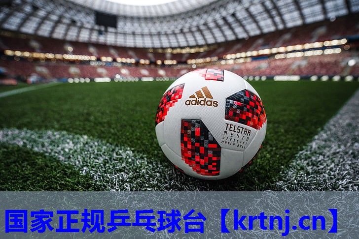 国家正规乒乓球台 国家正规乒乓球台