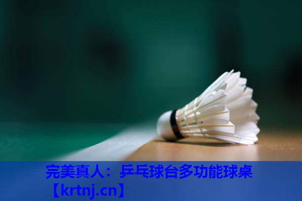 乒乓球台多功能球桌 乒乓球台多功能球桌