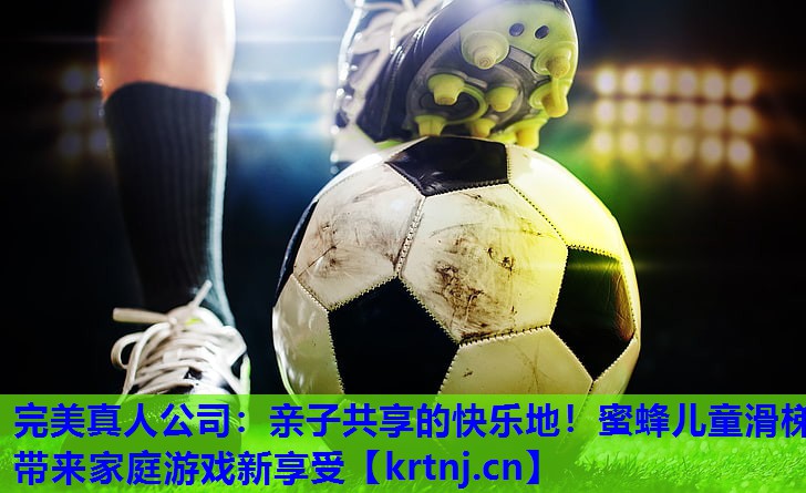 亲子共享的快乐地!蜜蜂儿童滑梯带来家庭游戏新享受 亲子共享的快乐地!蜜蜂儿童滑梯带来家庭游戏新享受