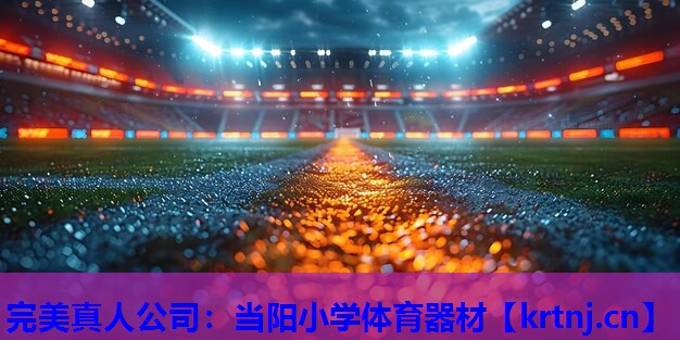 当阳小学体育器材 当阳小学体育器材
