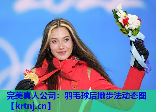 羽毛球后撤步法动态图 羽毛球后撤步法动态图