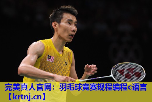羽毛球竞赛规程编程c语言 羽毛球竞赛规程编程c语言