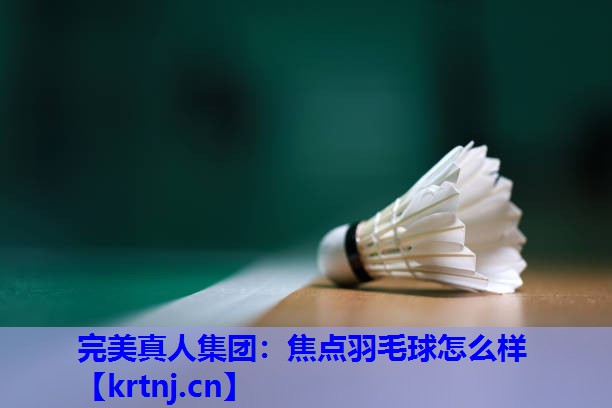 焦点羽毛球怎么样 焦点羽毛球怎么样