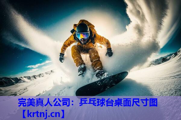 乒乓球台桌面尺寸图 乒乓球台桌面尺寸图