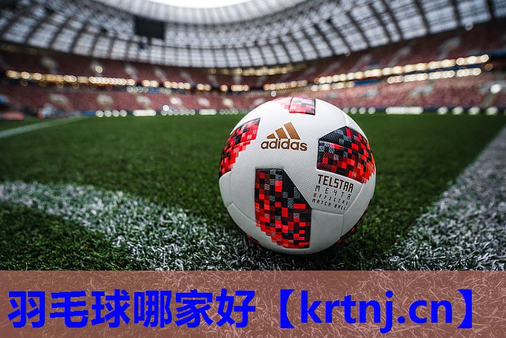 羽毛球哪家好 羽毛球哪家好