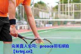 proace羽毛球拍 proace羽毛球拍