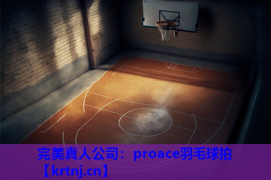 proace羽毛球拍 proace羽毛球拍