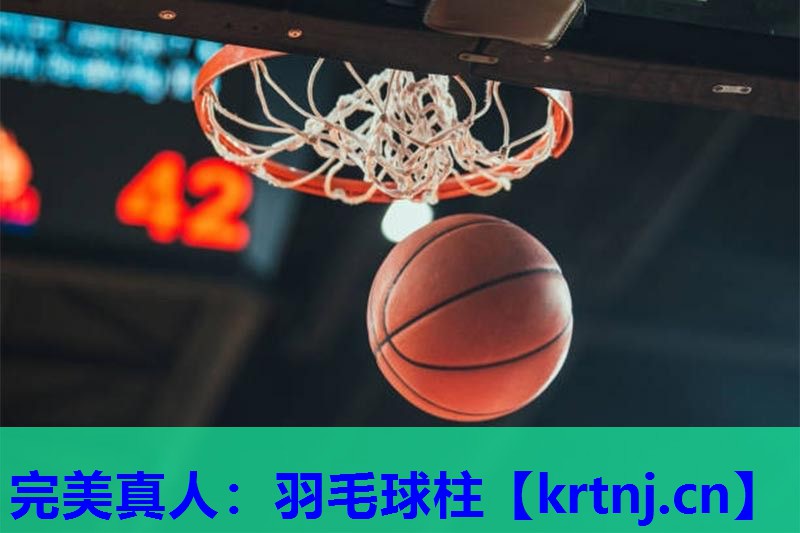 羽毛球柱 羽毛球柱