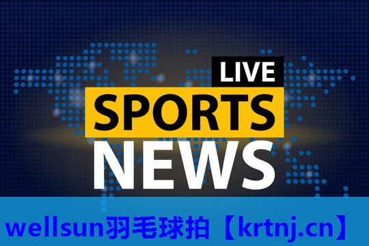 wellsun羽毛球拍 wellsun羽毛球拍
