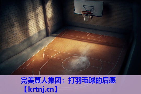 打羽毛球的后感 打羽毛球的后感