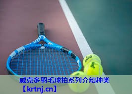 威克多羽毛球拍系列介绍种类 威克多羽毛球拍系列介绍种类