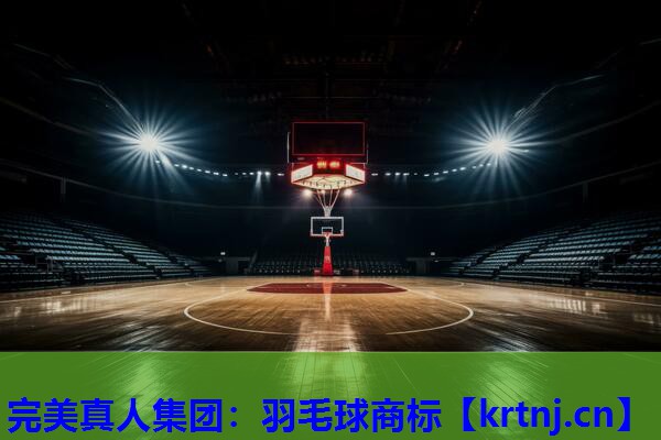 羽毛球商标 羽毛球商标