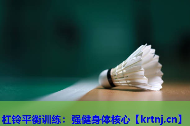 杠铃平衡训练:强健身体核心 杠铃平衡训练:强健身体核心