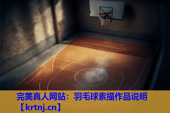 羽毛球素描作品说明 羽毛球素描作品说明